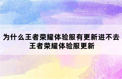 为什么王者荣耀体验服有更新进不去 王者荣耀体验服更新